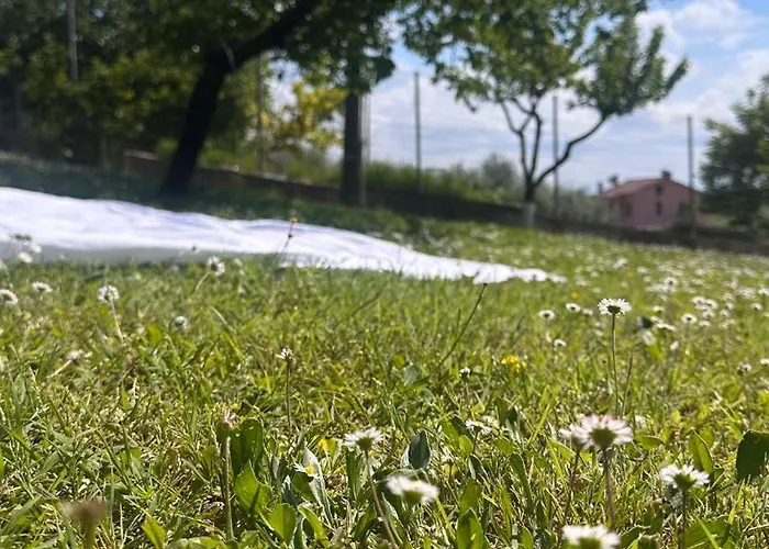 Belvedere Con Piscina - Soggiorni Le Grotte * Camerano