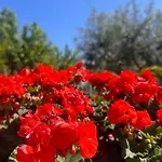 Belvedere Con Piscina - Soggiorni Le Grotte