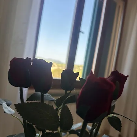 Belvedere Con Piscina - Le Grotte And Alloggio in famiglia Camerano