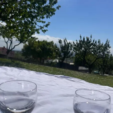 Belvedere Rooms Con Piscina - Le Grotte Rooms And Apartments Homestay Camerano