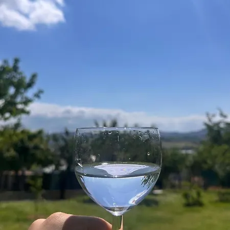 Belvedere Con Piscina - Soggiorni Le Grotte 卡梅拉诺
