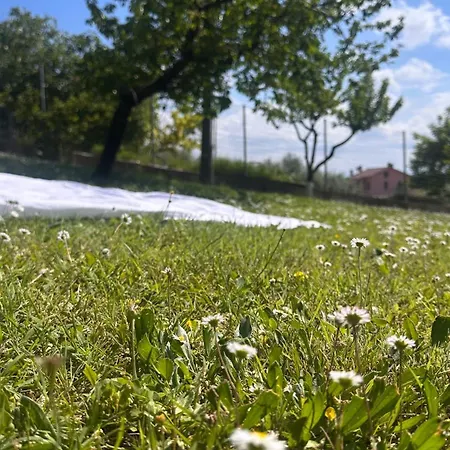 Belvedere Con Piscina - Le Grotte And * Camerano